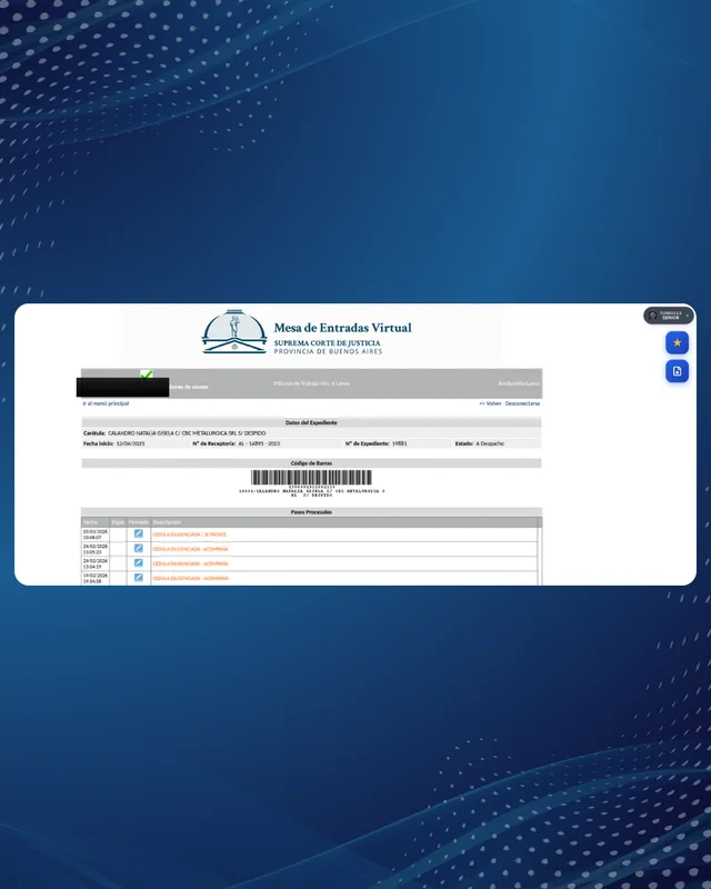 Botones de favoritos y descarga en un expediente